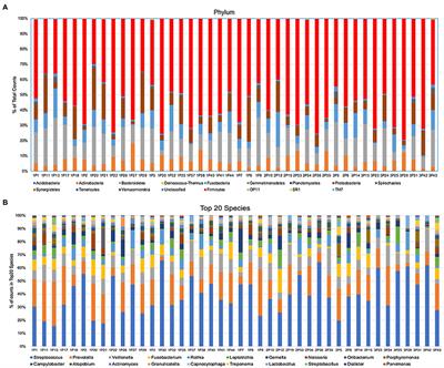 Oral Shedding of an Oncogenic Virus Alters the Oral Microbiome in HIV+ Patients